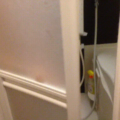 シャワー覗かれた美女！